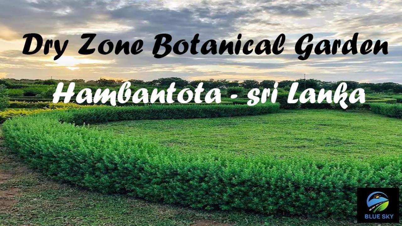 Casa Vacansa Home Stay Hungama Ngoại thất bức ảnh